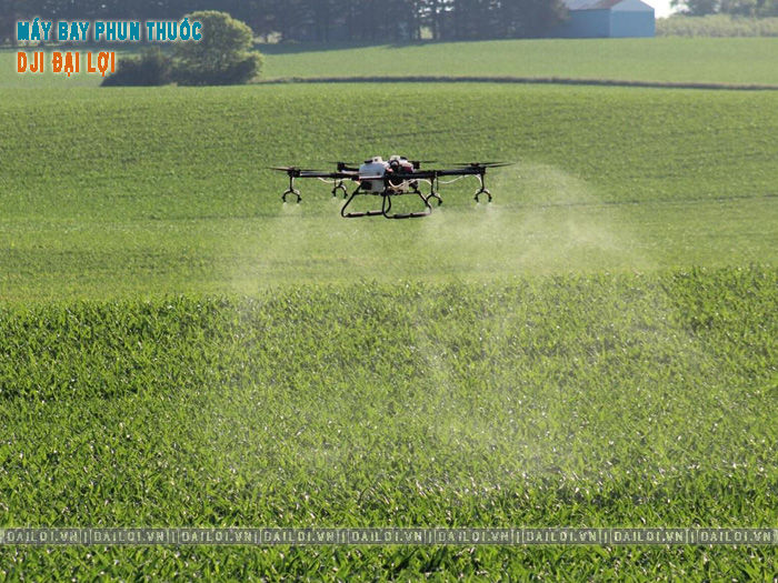 Chi phí phun thuốc bằng máy bay chạy xăng mỗi ha bao nhiêu?