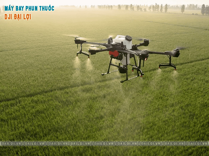 Máy bay phun thuốc diệt cỏ lúa và cây trồng hiệu quả ra sao?