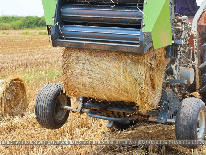Dây cuốn rơm là gì? Phân biệt các loại dây và cách chọn