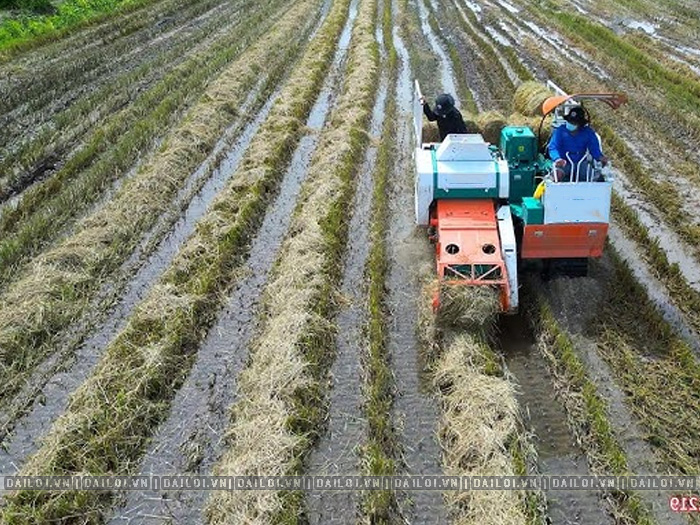 Giá máy cuốn rơm cũ bao nhiêu tiền? Có nên mua không