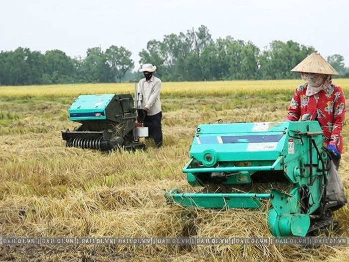 Máy cuốn rơm bánh xích giá bao nhiêu và có những dòng nào?