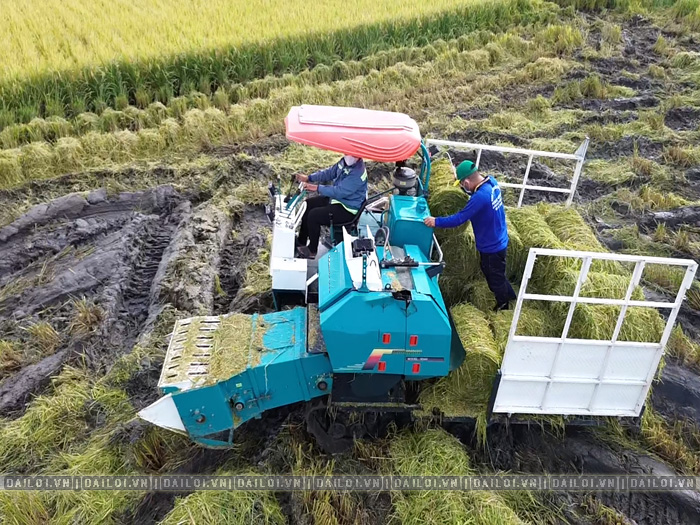 Máy cuốn rơm bánh xích giá bao nhiêu và có những dòng nào?