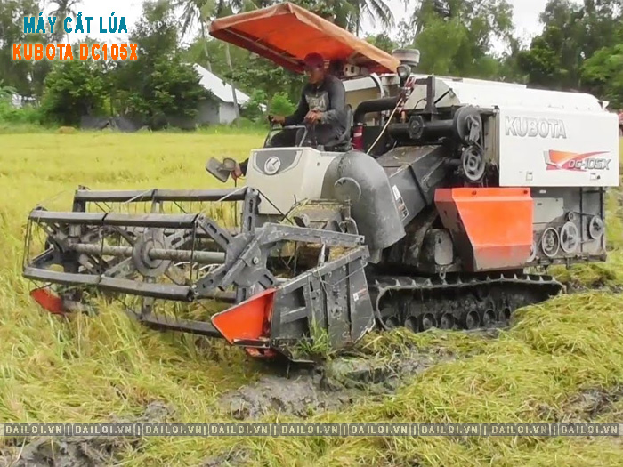 Máy cắt lúa Kubota 105X so với DC70 và DC93 có khác gì
