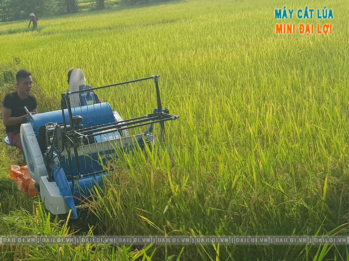 Máy cắt lúa mini