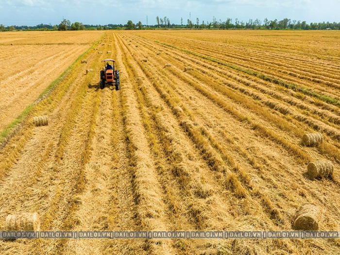 Cấu tạo máy cuốn rơm mini gồm những bộ phận nào?