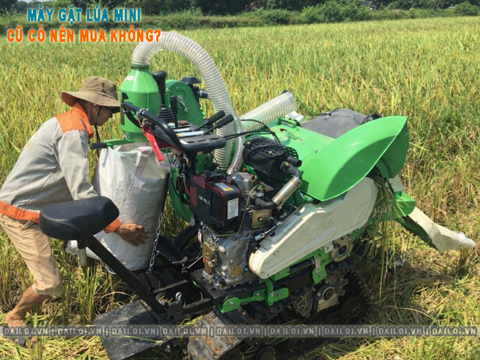 Máy gặt lúa mini cũ có nên mua không? Kinh nghiệm thực tế
