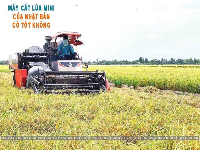 Máy gặt lúa mini của Nhật có tốt không? Nên chọn loại nào