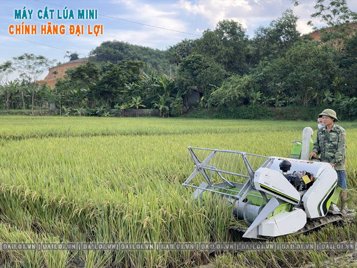 Giá máy gặt lúa mini bao nhiêu tiền? Có nên đầu tư không