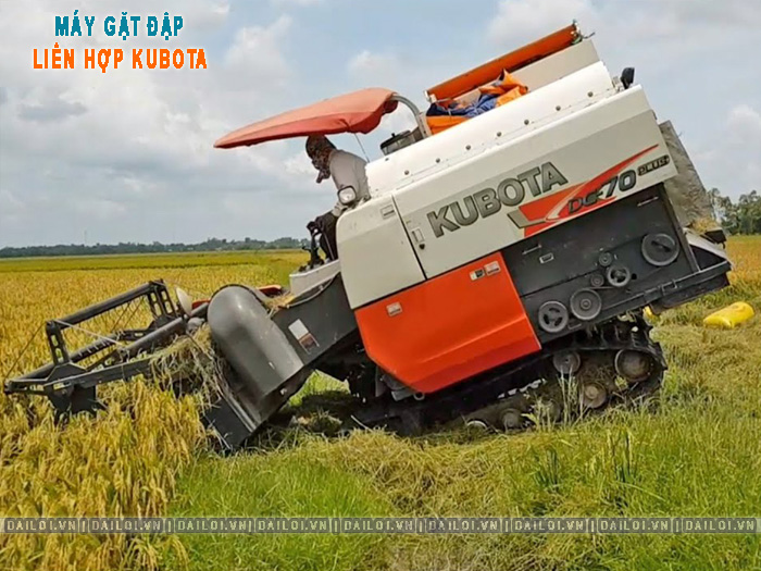 Máy gặt lúa mini tự bó là gì? Khác gì máy gặt đập liên hợp