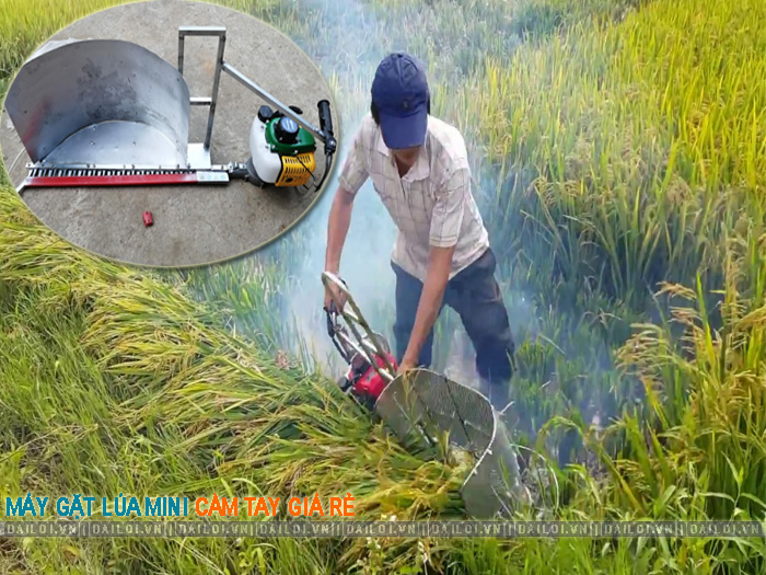Máy cắt lúa mini