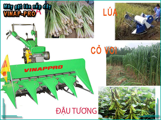 Máy gặt lúa xếp dãy Vinappro