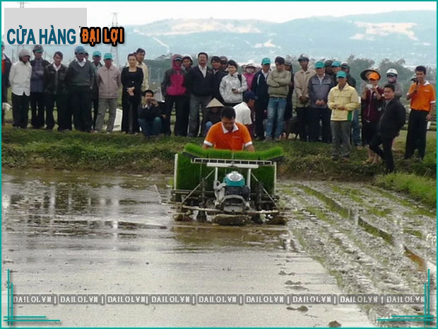 Trình diễn thực nghiệm máy cấy lúa Kubota tại Bình Định