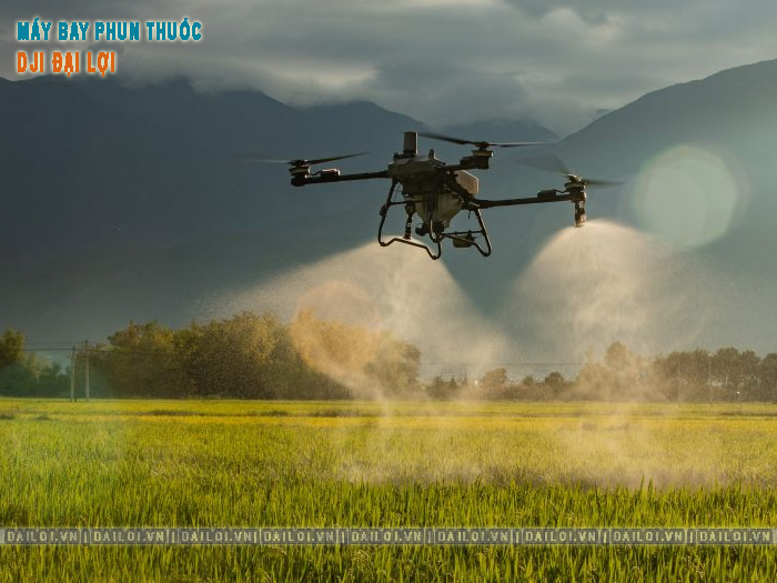 Máy bay phun thuốc diệt cỏ lúa và cây trồng hiệu quả ra sao?