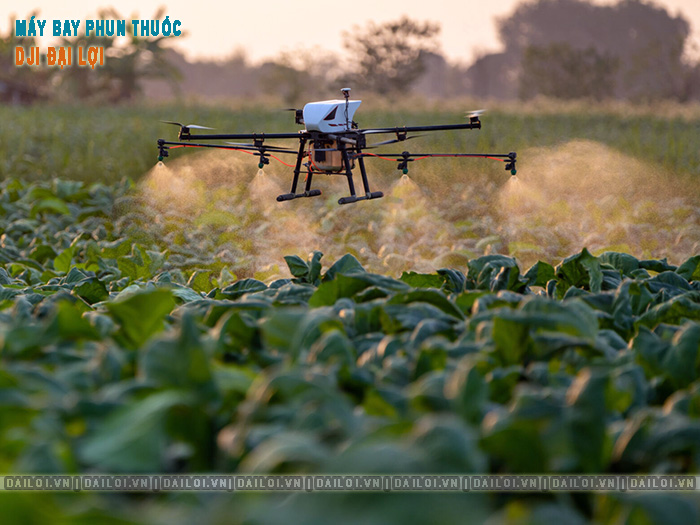 Ưu nhược điểm máy bay phun thuốc Hàn Quốc là gì?