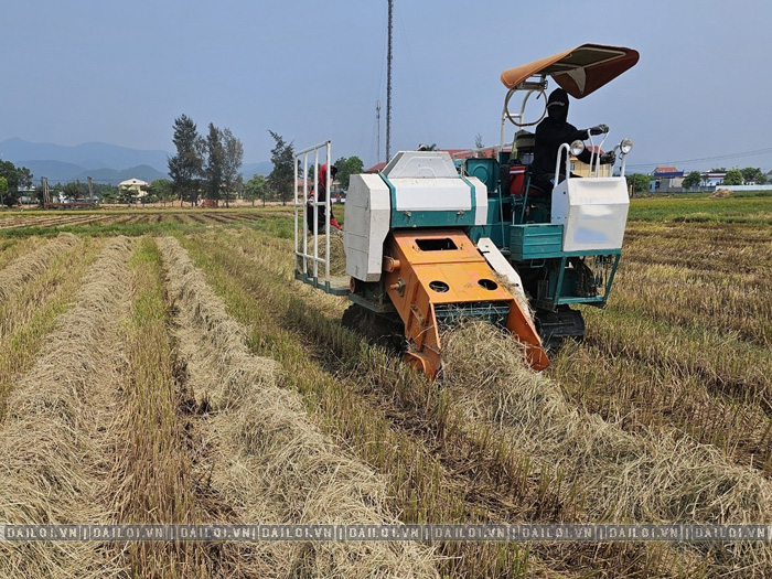 Máy cuốn rơm bánh xích giá bao nhiêu và có những dòng nào
