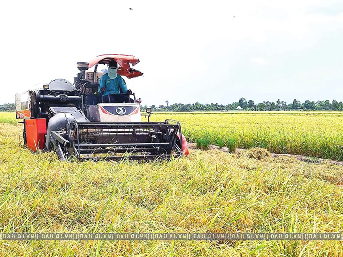 Máy gặt lúa mini của Nhật có tốt không? Nên chọn loại nào