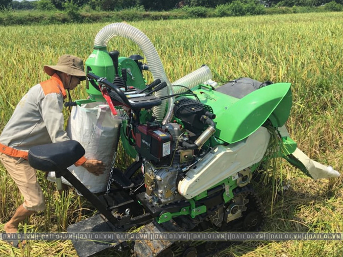 Máy gặt lúa mini cũ có nên mua không? Kinh nghiệm thực tế