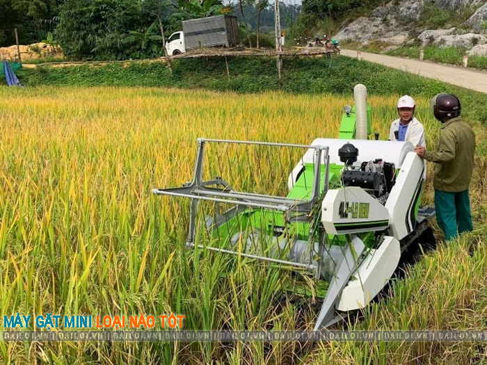 Máy cắt lúa mini loại nào tốt cho ruộng nhỏ?